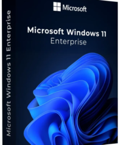Microsoft Windows 11 Enterprise - Product Image