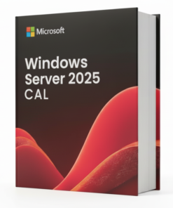Microsoft Windows Server 2025 RDS Device CAL - Product Image