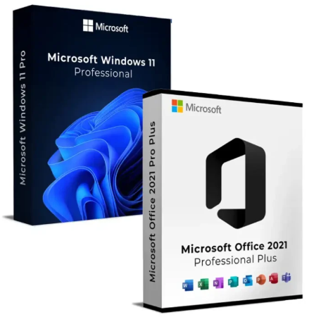 Office 2021 Pro Plus & Win 11 Pro - Product Image