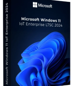 Windows 11 Enterprise IoT LTSC 2024 - Product Image