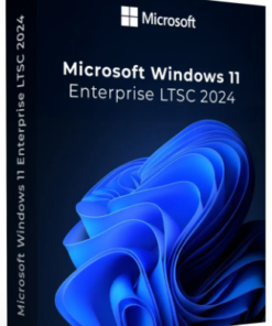 Windows 11 Enterprise LTSC 2024 - Product Image