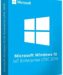 Windows 10 Enterprise IoT LTSC 2019 - Product Image